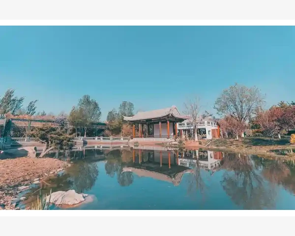 养脾胃早餐，喝什么最适宜？